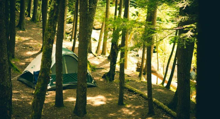 Best 6 Person Tent Reviews of 2019 – Buyer’s Guide